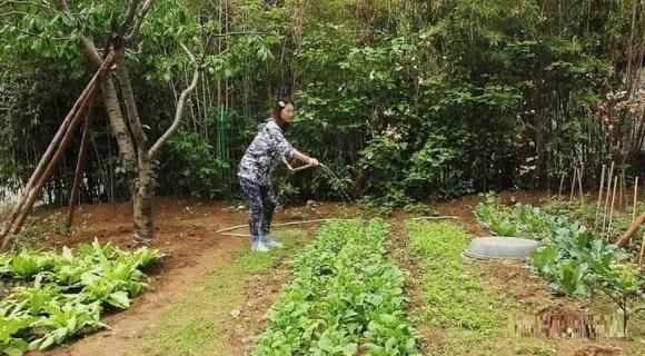 Biệt thự hơn 102 tỷ của Châu Hải My trống trải, đìu hiu-2