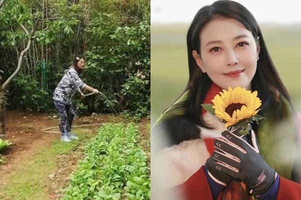 Nơi yên nghỉ mới của Châu Hải My-4