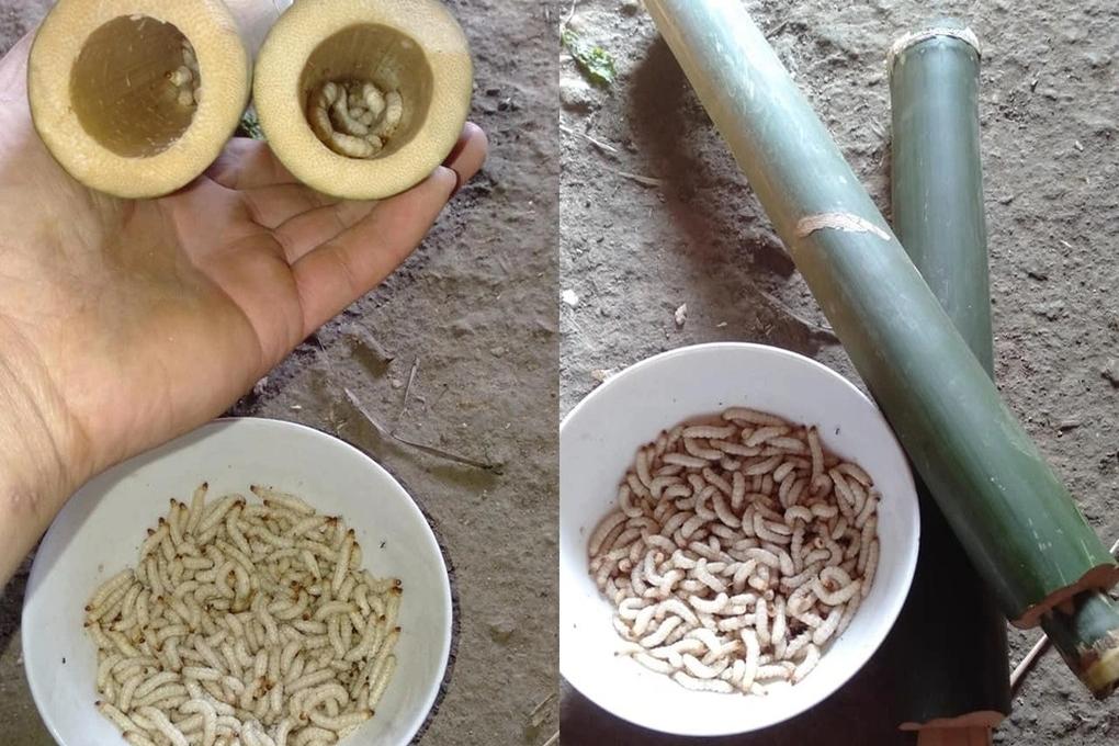 Khách Tây tố bị vòi tiền khi du lịch Việt: Hướng dẫn viên tiết lộ góc khuất-4