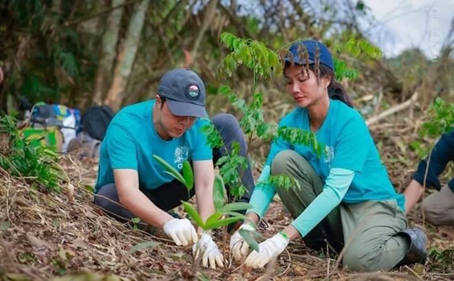 Bị chê bèo vì chỉ góp 86 triệu đồng cho dự án trồng rừng, HHen Niê lên tiếng-1