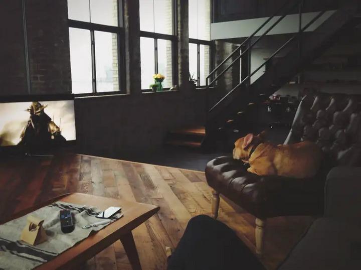 Bỏ học năm 15 tuổi, chàng trai trẻ tự học ở nhà, dựng đế chế triệu USD Tumblr-13