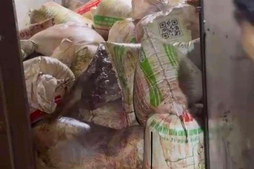 Phát hiện hai xe tải chở hơn 10 tấn thịt heo thối ở Bình Dương-1