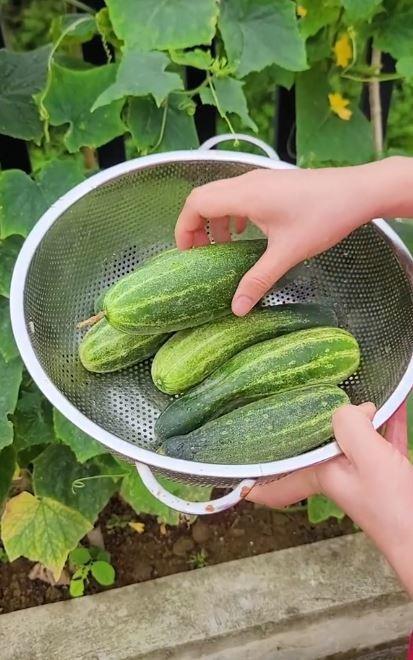 Chủ nhân kênh Ẩm thực mẹ làm: Từ nhà cấp 4 lên đời biệt thự 3 tỷ-5