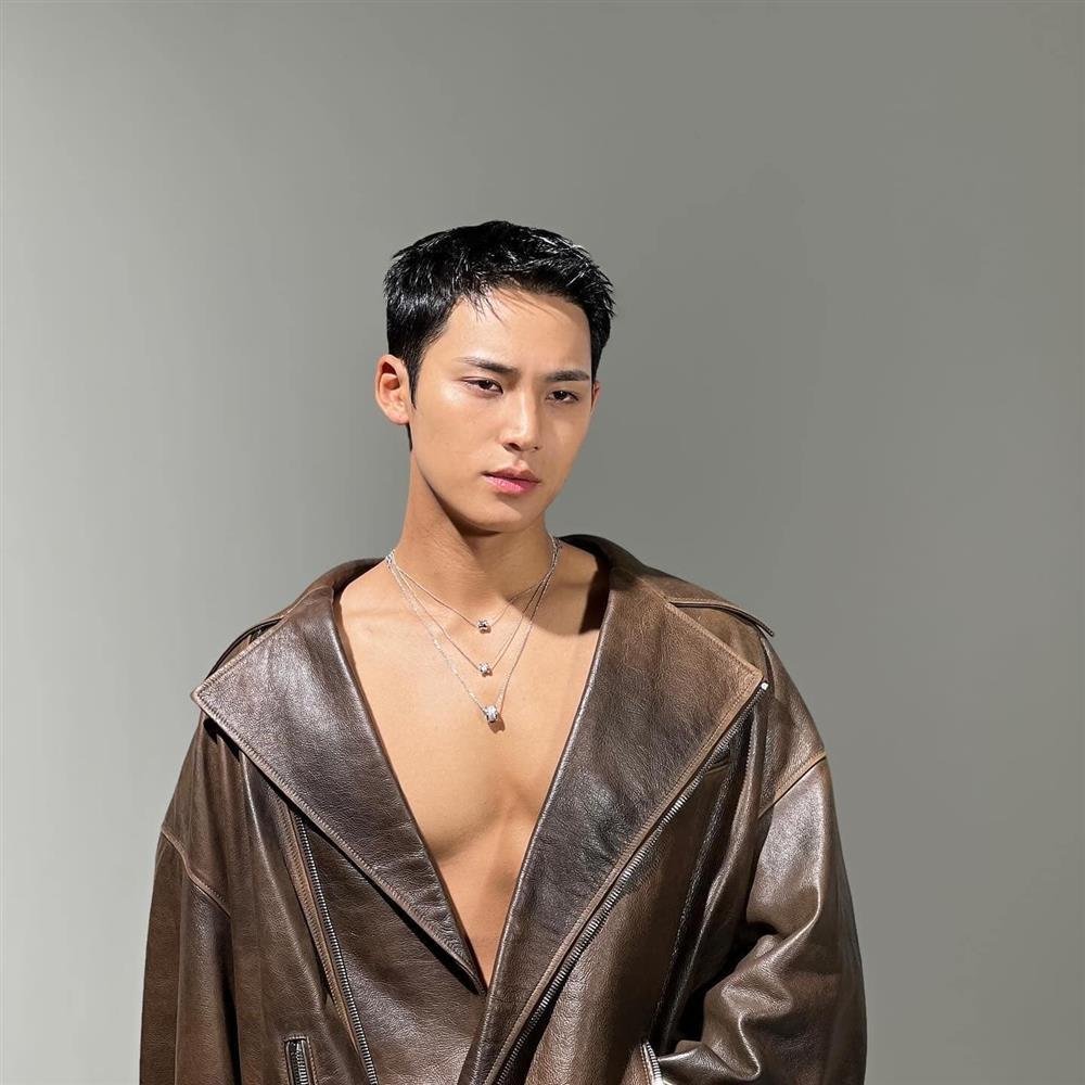 Chân dung nam ca sĩ được cả thế giới nhận làm chồng-16