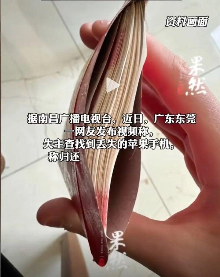 Cô gái bức xúc tố việc trả của rơi được thưởng tiền giả và sự thật bẽ mặt-1