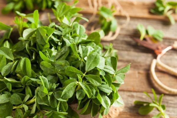 Loại thực phẩm được thế giới xem là chìa khóa trường thọ, bán nhiều ở chợ Việt: Giúp giảm cân, kiểm soát bệnh tiểu đường lại tốt cho chuyện vợ chồng-4