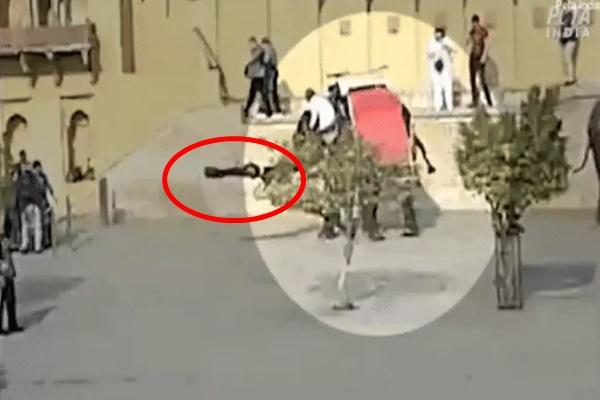 Khách Tây trầm trồ phiên bản cực lạ của món bún bình dân, nhiều người Việt chưa chắc đã nghe tên-7