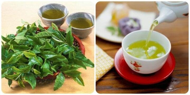 Tác hại của nước chè xanh nếu bạn uống sai cách-1