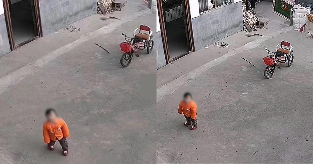 Gửi con 1 tuổi cho ông bà để đi làm ăn xa, cảnh tượng qua camera khiến ai cũng nhói lòng-1