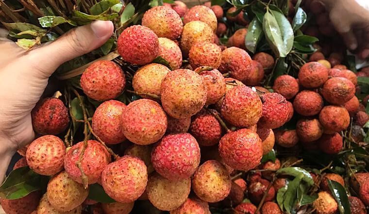 Loại quả được ví là thần dược dưỡng gan, hạ đường huyết: Việt Nam vào mùa giá rẻ hơn cho-1
