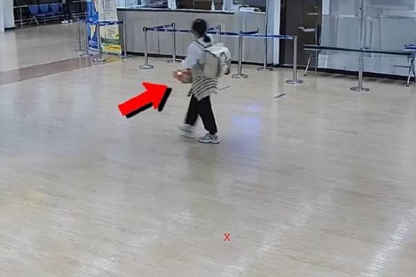 Rắn hổ mang và đàn bướm khổng lồ đột nhập khách sạn Thái Lan-4