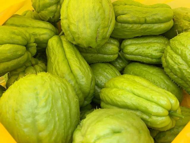 Hoa hậu bí ẩn nhất Việt Nam tuổi U40, sống kín tiếng trong biệt thự ở Hà Nội-14