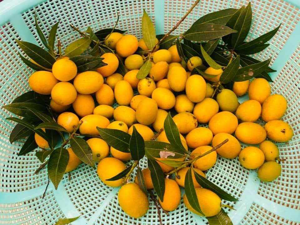 Hoa hậu bí ẩn nhất Việt Nam tuổi U40, sống kín tiếng trong biệt thự ở Hà Nội-16