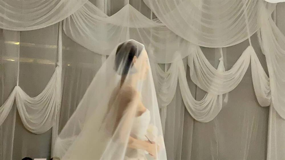 Siêu mẫu Tuyết Lan khóc nức nở trong đám cưới với chồng bác sĩ-2