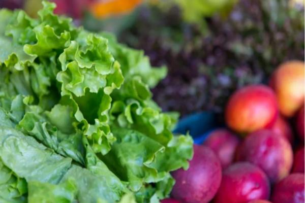 5 loại thực phẩm giúp bạn giải độc cơ thể hiệu quả-1