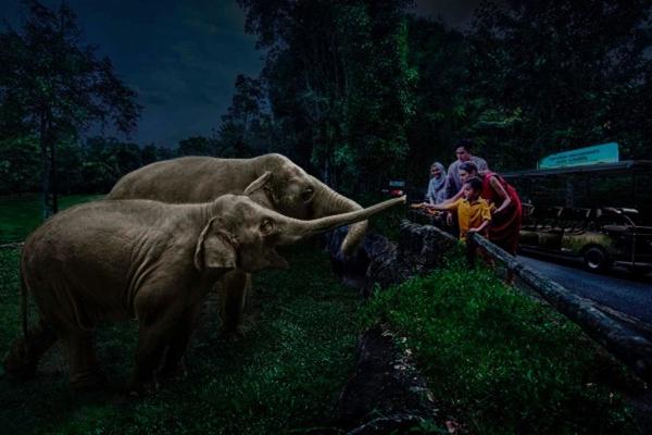 Vợ chồng Mỹ Linh ăn foodtour Singapore khi xem show Taylor Swift, món ăn xa xỉ đắt nhất thế giới có gì đặc biệt?-10