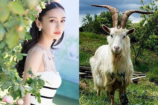 12 ngày tiếp theo (6/3 - 17/3): Vận trình 3 con giáp sang trang mới, tài lộc bùng nổ-3