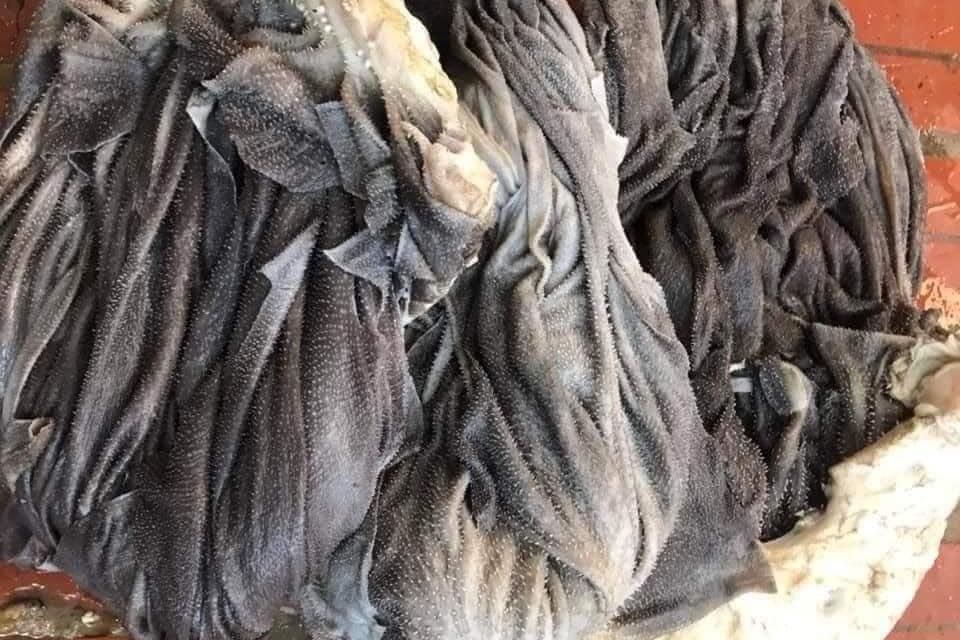 Bộ phận của bò nhìn bẩn nhưng ngon và bổ dưỡng-1