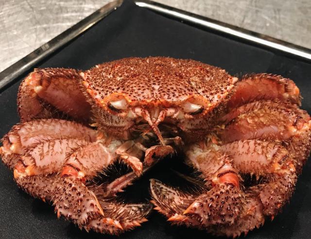 Hẹn hò chồng Nhạc trưởng, Thanh Hằng hé lộ món ăn yêu thích-10