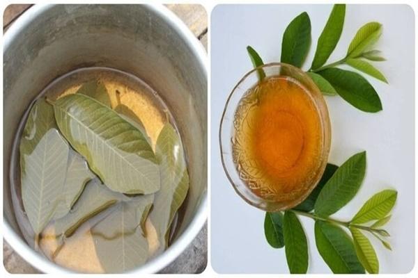 Loại lá nhiều người bỏ đi nhưng có tác dụng chữa bệnh bất ngờ-2