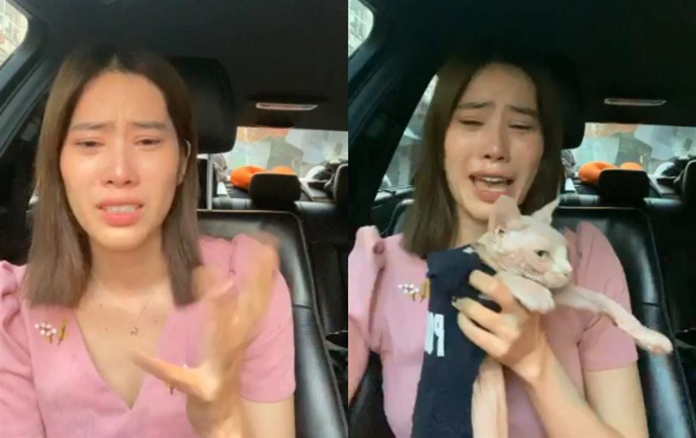 Nghệ sĩ Việt trả giá vì vạ miệng-1