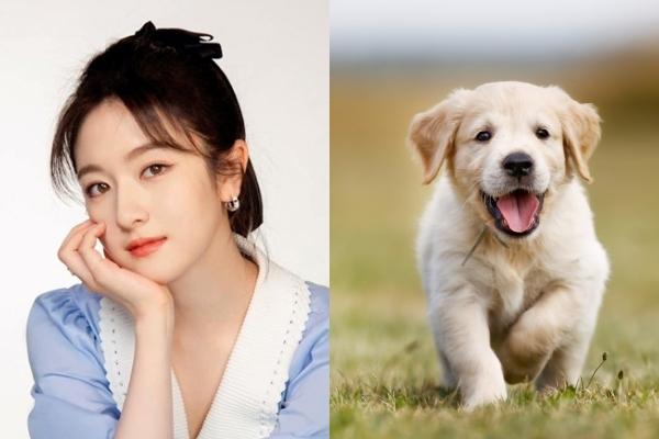 Mùng 1, 2, 3 tháng 2 âm lịch: Bắt đầu thời vàng son của 3 con giáp, muốn nghèo cũng khó-4