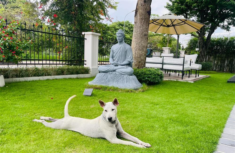 Biệt thự hơn 40 tỷ đồng của Quốc Trường tại TP.HCM-9