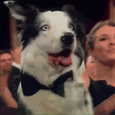 Khoảnh khắc ấn tượng ở Oscar 2024-8