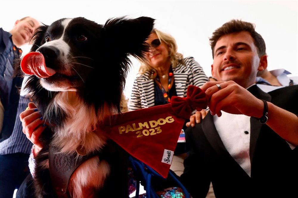 Chú chó Messi: Nhân vật bất ngờ chiếm sóng nhất lễ trao giải Oscar 2024-3