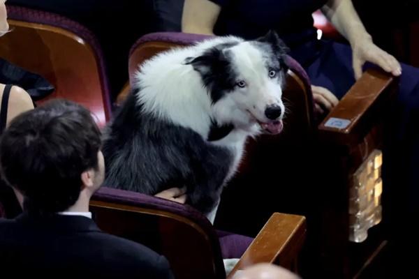 Khoảnh khắc tệ nhất Oscar 2024-7