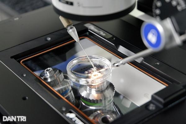 Bác sĩ sản chạy hết công suất vì cơn sốt rồng vàng-9