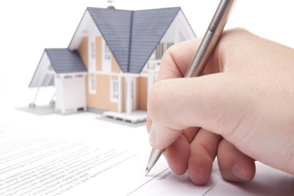 Mẹ chồng chia 1.000 m2 đất nhưng không đoái hoài đến vợ chồng tôi-1