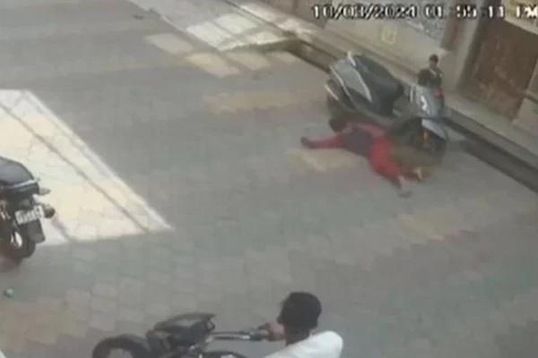 Chủ shop treo thưởng bắt 2 con khỉ biến thái, thích trêu gái đẹp và trộm nội y-2