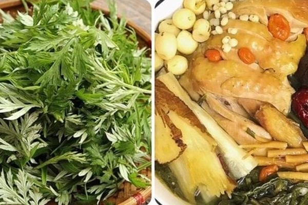 Tác dụng chữa bệnh của ngải cứu-2