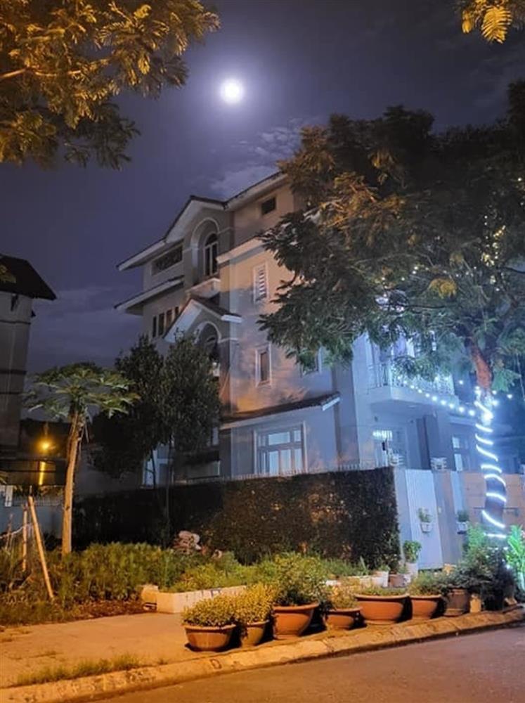 Ca sĩ Cẩm Ly làm nông dân trong biệt thự 20 tỷ đồng-2