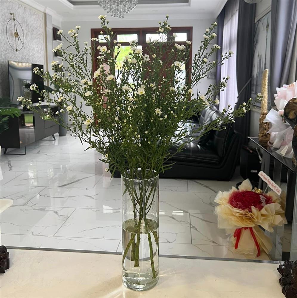 Ca sĩ Cẩm Ly làm nông dân trong biệt thự 20 tỷ đồng-4