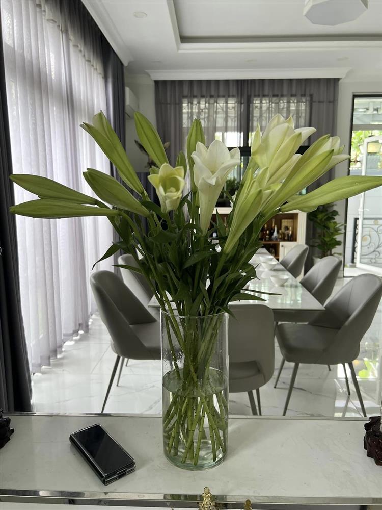 Ca sĩ Cẩm Ly làm nông dân trong biệt thự 20 tỷ đồng-5