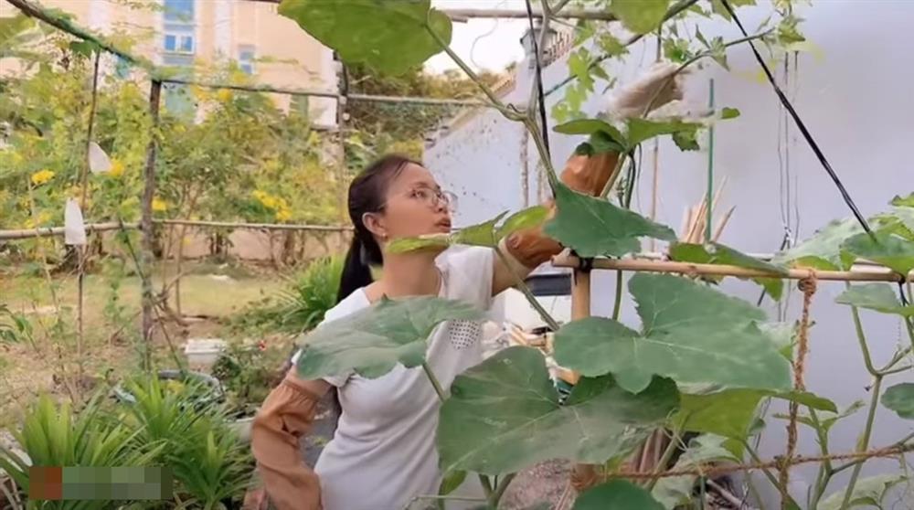 Ca sĩ Cẩm Ly làm nông dân trong biệt thự 20 tỷ đồng-16