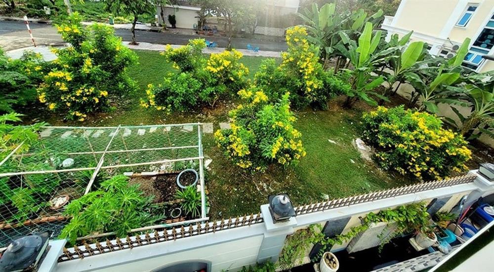 Ca sĩ Cẩm Ly làm nông dân trong biệt thự 20 tỷ đồng-19