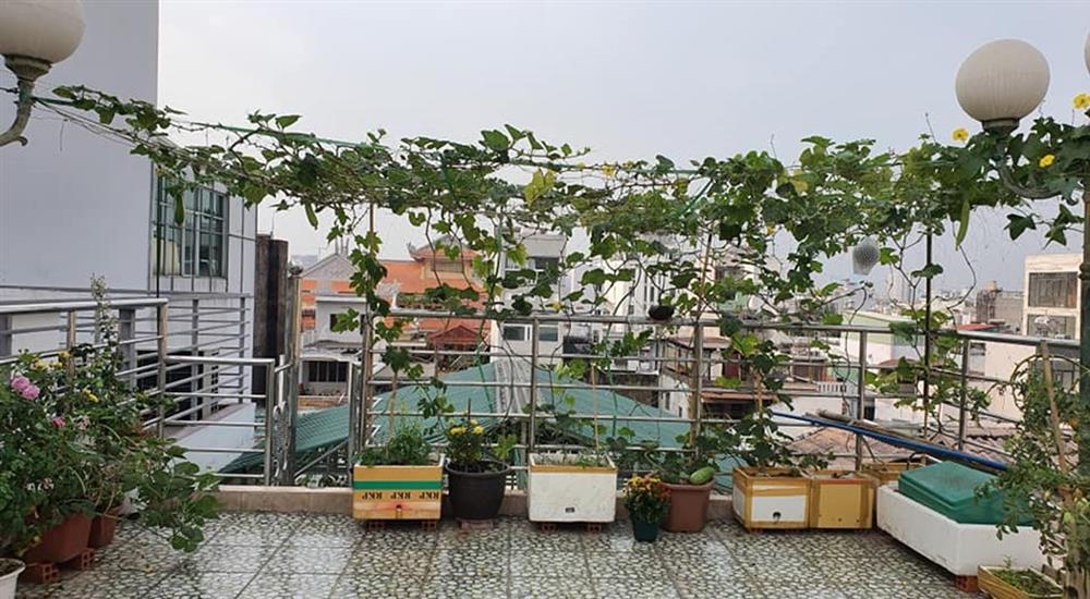 Ca sĩ Cẩm Ly làm nông dân trong biệt thự 20 tỷ đồng-20