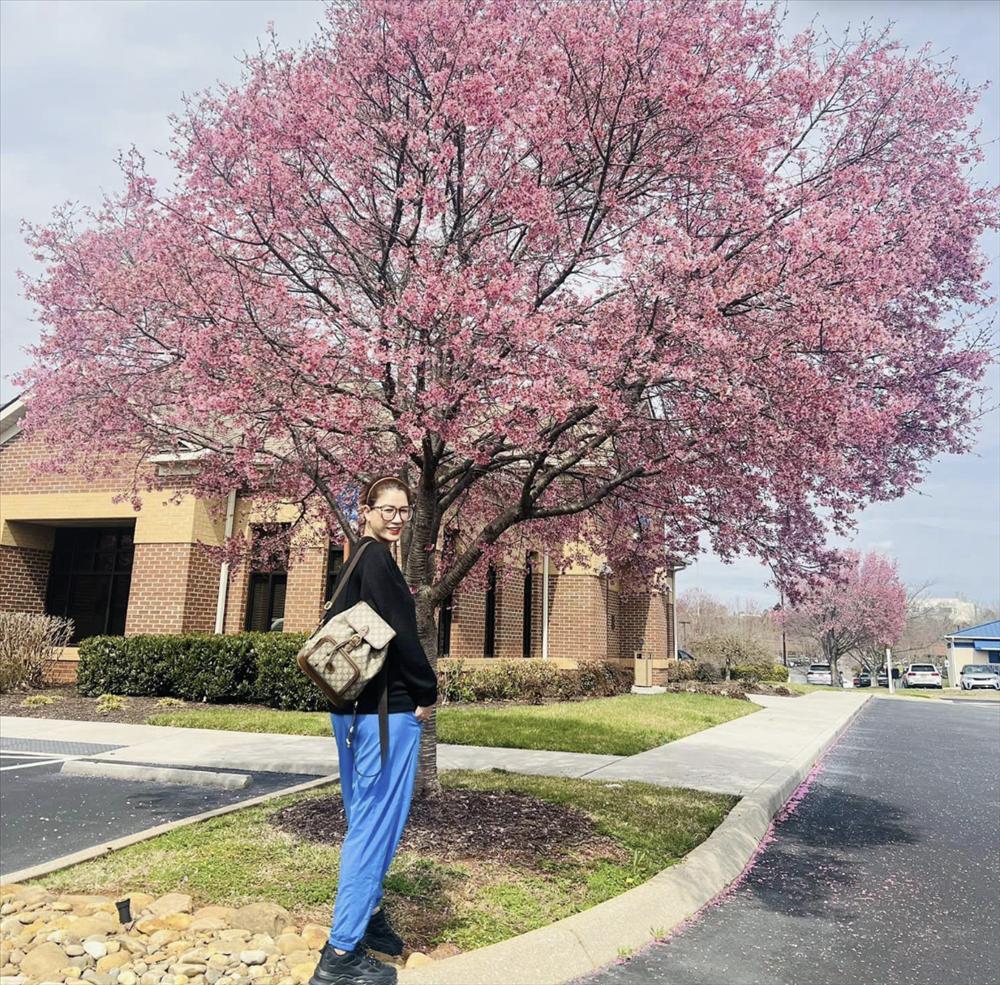 Trang Trần bức xúc vì bị dồn đến đường cùng, công việc 20 đô/ngày cũng bị chơi xấu-3