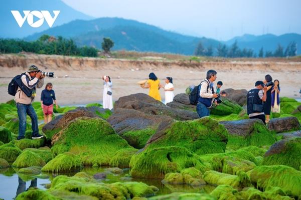 Đẹp ngỡ ngàng bãi rạn Nam Ô-4