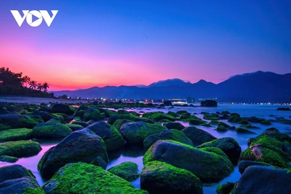 Đẹp ngỡ ngàng bãi rạn Nam Ô-10