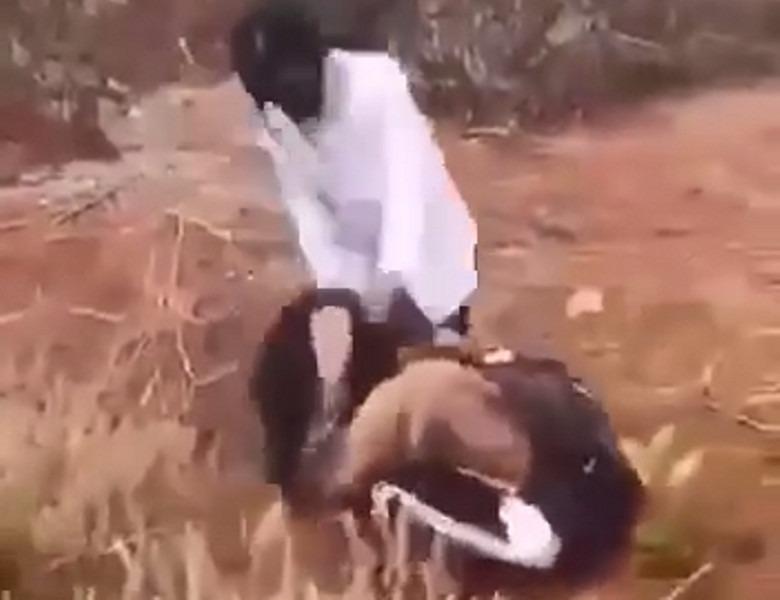 Nữ sinh lớp 9 bị nhóm bạn cùng trường đánh đập dã man-1