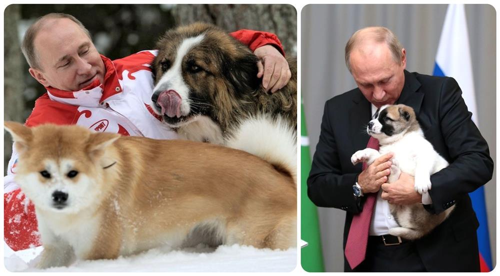 Những bức ảnh hiếm, khác biệt về Tổng thống Nga Putin-10
