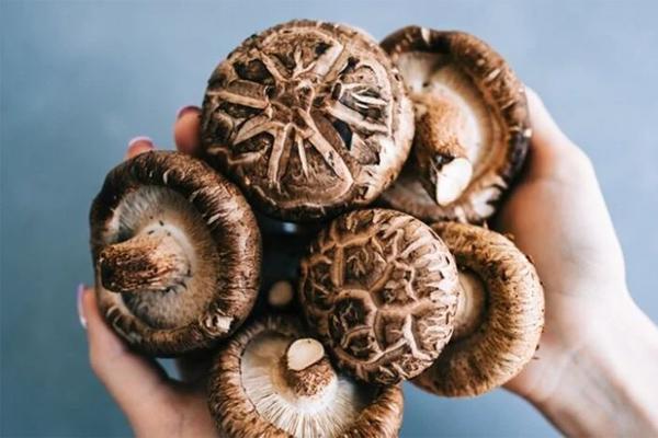 Vợ tặng chồng chiếc bánh kem sinh nhật trị giá 1,5 tỷ gây sốc-3