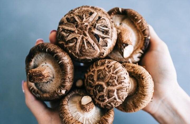 Cô gái phẫn nộ chia tay bạn trai sau khi được tặng nấm hương làm quà sinh nhật-1