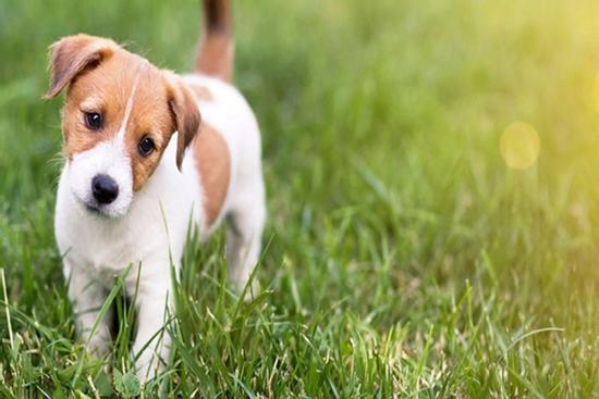 Chọn sinh con thì tránh tuổi con này trong tháng 8, các tuổi khác cực kỳ viên mãn