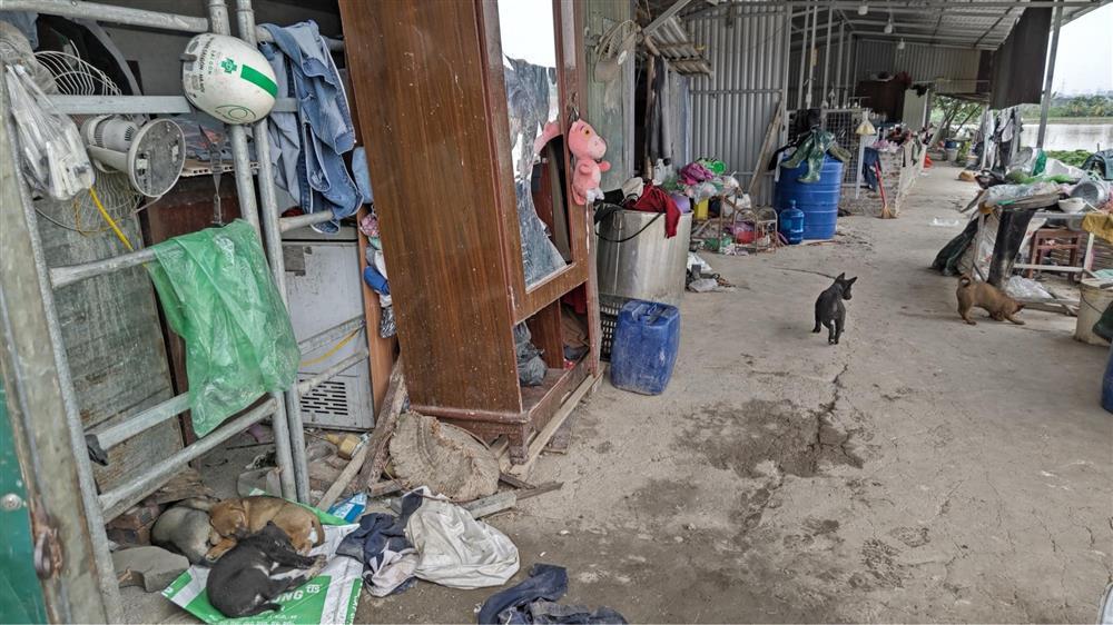 Hà Nội: Nỗi đau của người phụ nữ sinh 14 con-6