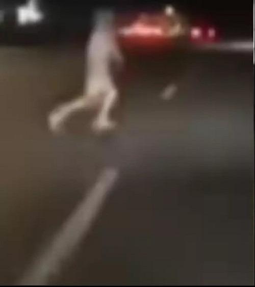Cái bóng trắng lướt xuyên qua xe của người đi đường được camera ghi lại-1